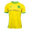 Camiseta de fútbol Norwich City Primera Equipación 2024-25 - Hombre